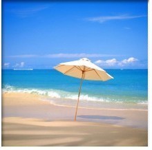 (image for) Ron Chavis - Words in the Sand