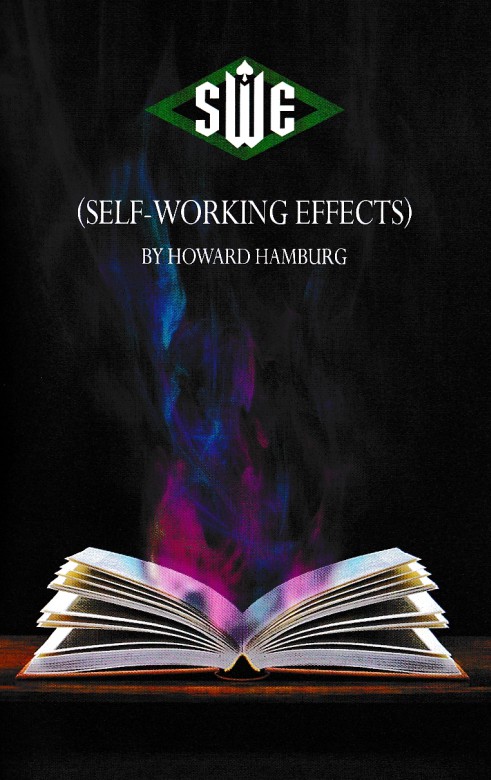 (image for) Howard Hamburg - SWE Notes