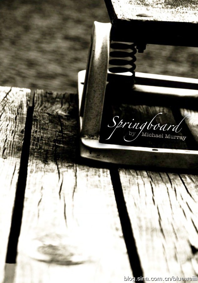 Michael Murray - Springboard