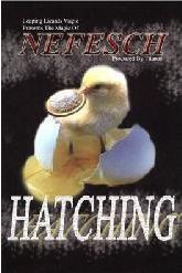 Nefesch - Hatching