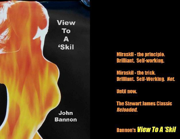 John Bannon - View To A Skill