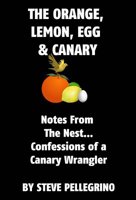 Steve Pellegrino - The Orange, Lemon, Egg and Canary