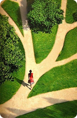 Art Vanderlay - The Illusion Of Choice