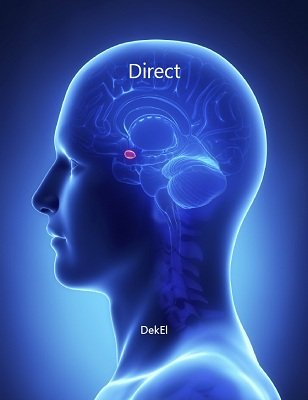 (image for) Bill Dekel - Direct