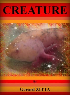 (image for) Gerard Zitta - Creature