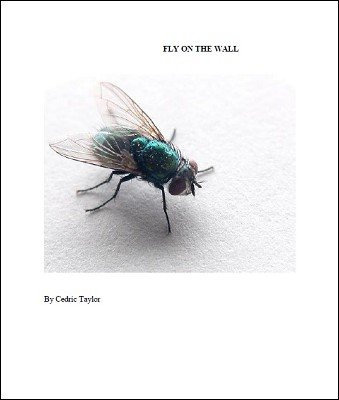 (image for) Cedric Taylor - Fly On The Wall
