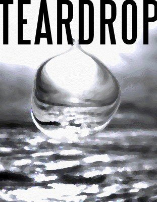 (image for) Don Theo III - Teardrop