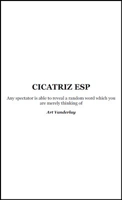 (image for) Art Vanderlay - Cicatriz ESP