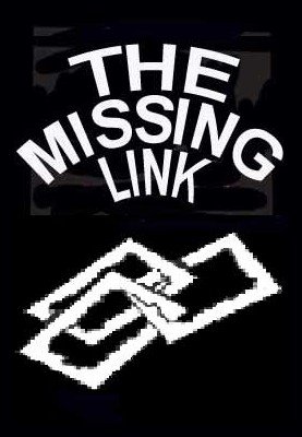 (image for) Stephen Tucker - The Missing Link
