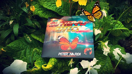 Peter Nardi - The Butterfly Effect