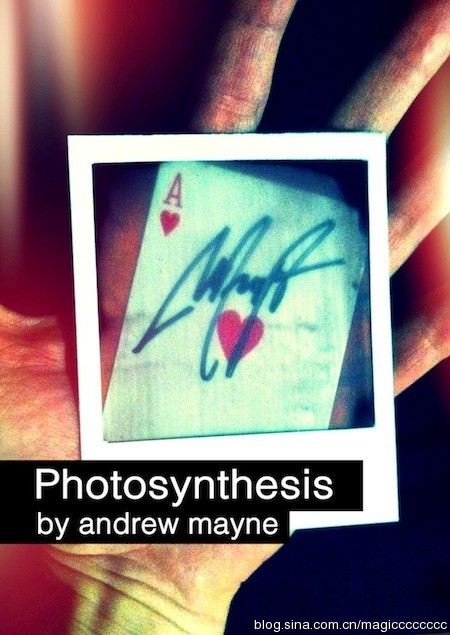 Andrew Mayne - Photosynthesis