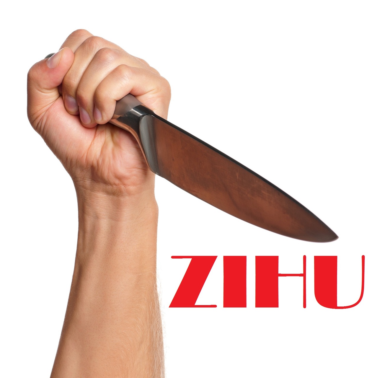 (image for) ZiHu - STAB