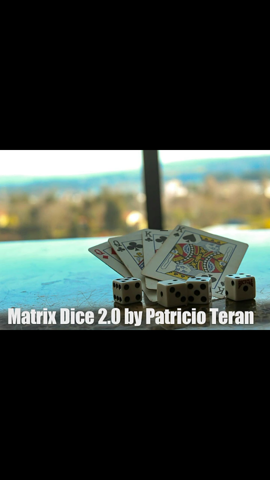 Patricio Teran - Matrix dice 2.0