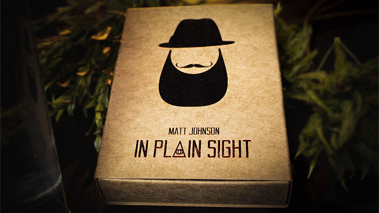 Matt Johnson - In Plain Sight