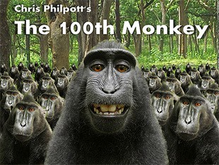 Chris Philpott - Hundredth Monkey