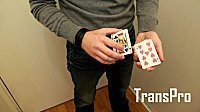 (image for) Yoann.F - TransPro