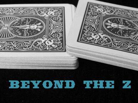 Steve Reynolds - Beyond The Z (Video+PDF)