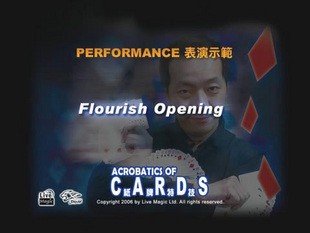 Acrobatics Of Cards
