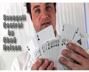 (image for) Chad Nelson - Svengali Control