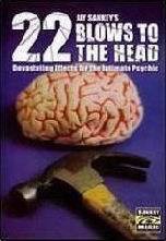 Jay Sankey - 22 Blows to the Head