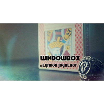 (image for) Lyndon Jugalbot - Windowbox