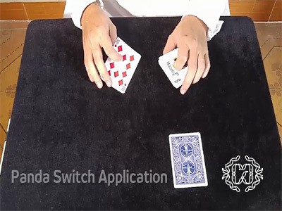 Creative Artists - Panda Switch Application