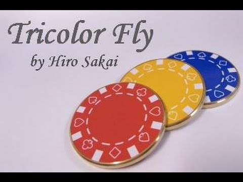 Hiro Sakai - Tricolor fly