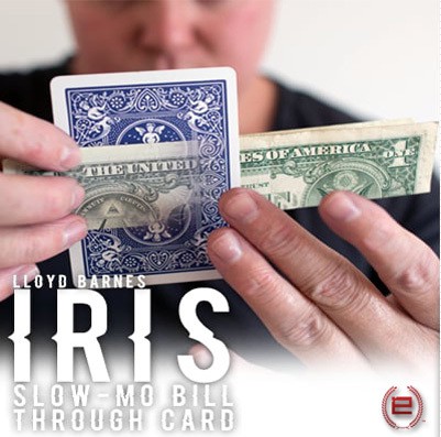 (image for) Lloyd Barnes - Iris