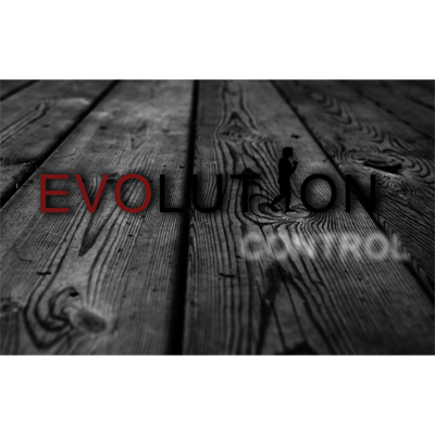 Sandro Loporcaro - Evolution Control