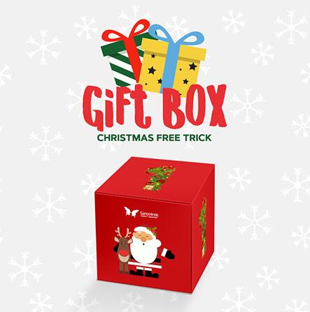 SansMinds - Gift Box