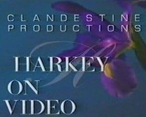 David Harkey - Harkey On Video
