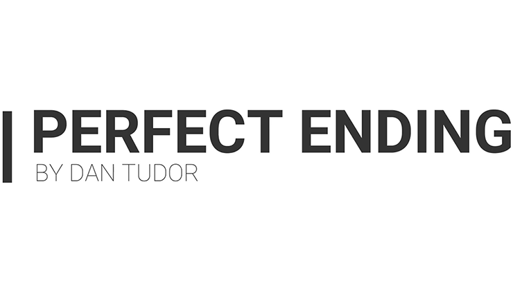 Dan Tudor - Perfect Ending