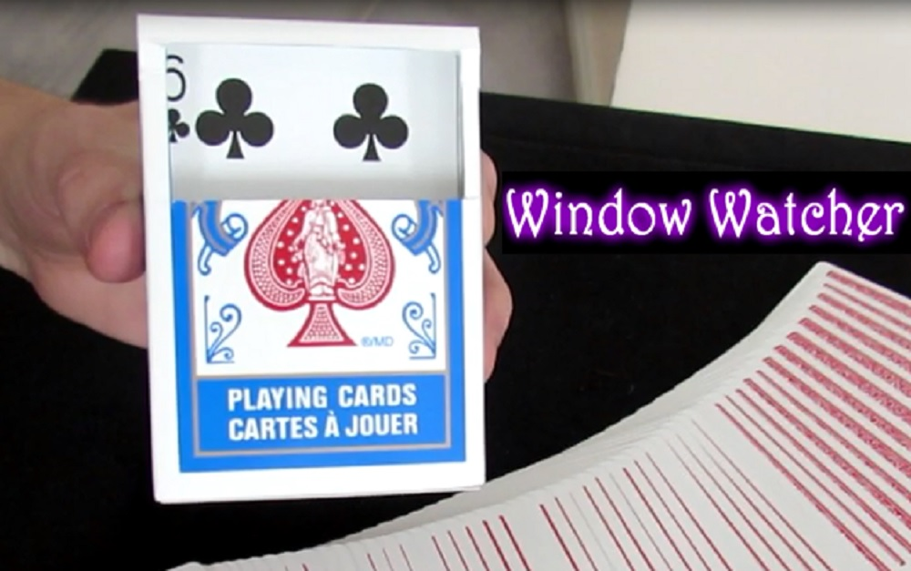 Aaron Plener - Window Watcher