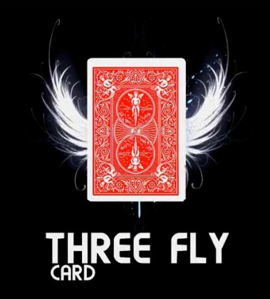Mickael Chatelain - Three Fly Card