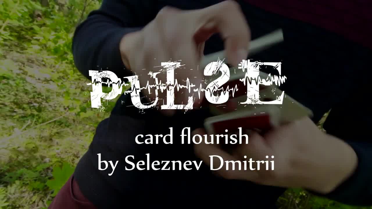 Seleznev Dmitry - Pulse
