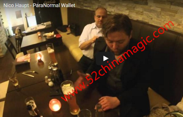 (image for) Paralabs - ParaNormal Wallet