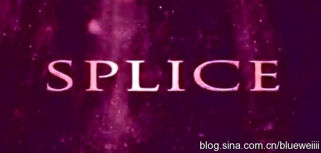 Shin Lim - Splice
