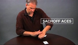 David Williamson - Sachoff Aces