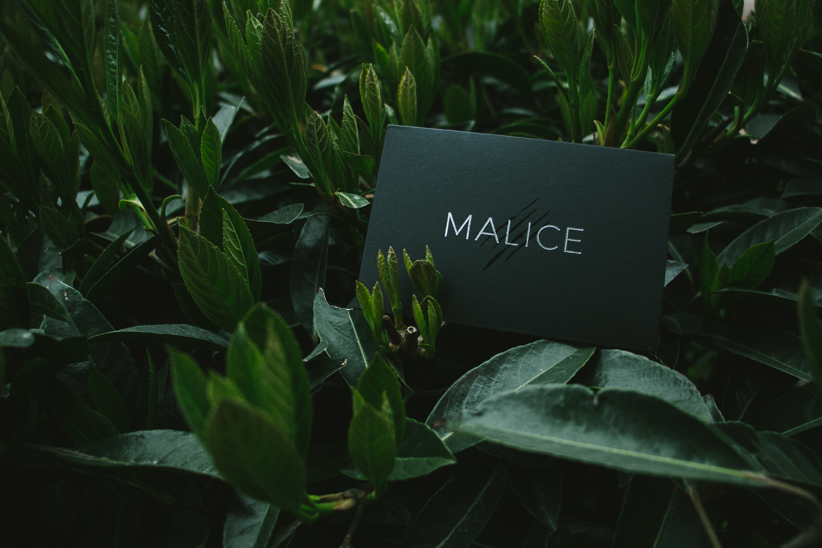 Eric Jones and Lost Art Magic - Malice