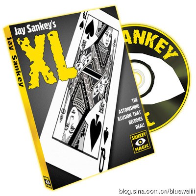 Jay Sankey - XL