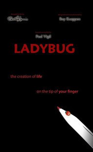 Paul Harris - Ladybug