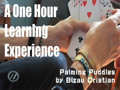 Bizau Cristian - Palming Puddles