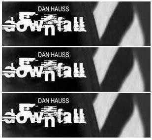 Dan Hauss - Downfall