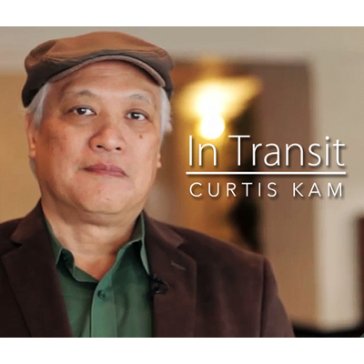 Curtis Kam - In Transit