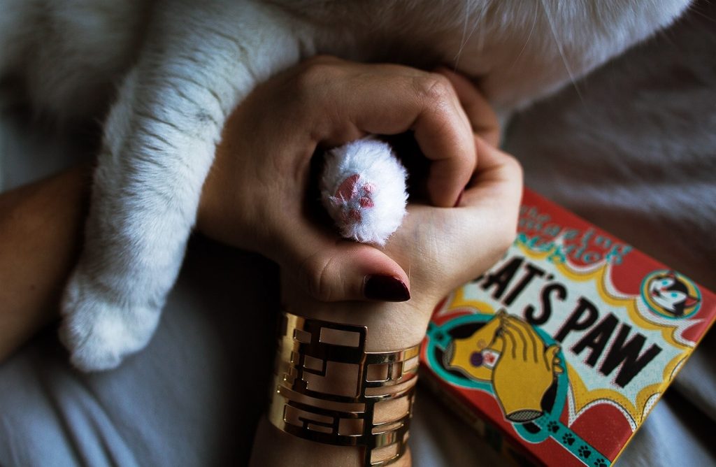 (image for) Ellusionist - Cat's