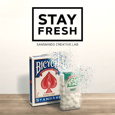 SansMinds Creative Lab - Stay Fresh