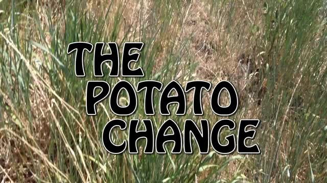 (image for) Gerald Robinson - Potato Change
