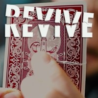 Duane Williams - Revive
