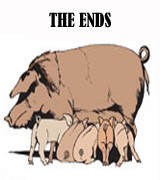 Nathan Kranzo - The Ends