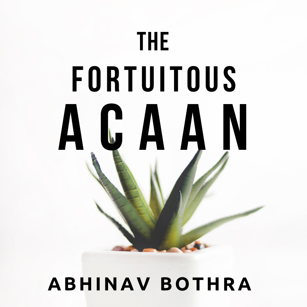 (image for) Abhinav Bothra - The Fortuitous ACAAN (PDF + Video)